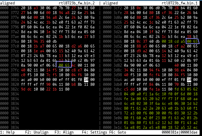 A hex view showing the inserted bytes 0x0065 in two places